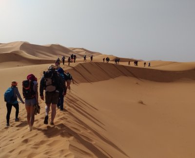 Excursiones al desierto