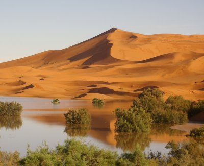 Excursión al desierto en 4x4 a Merzouga - 5 días (+Categoría)