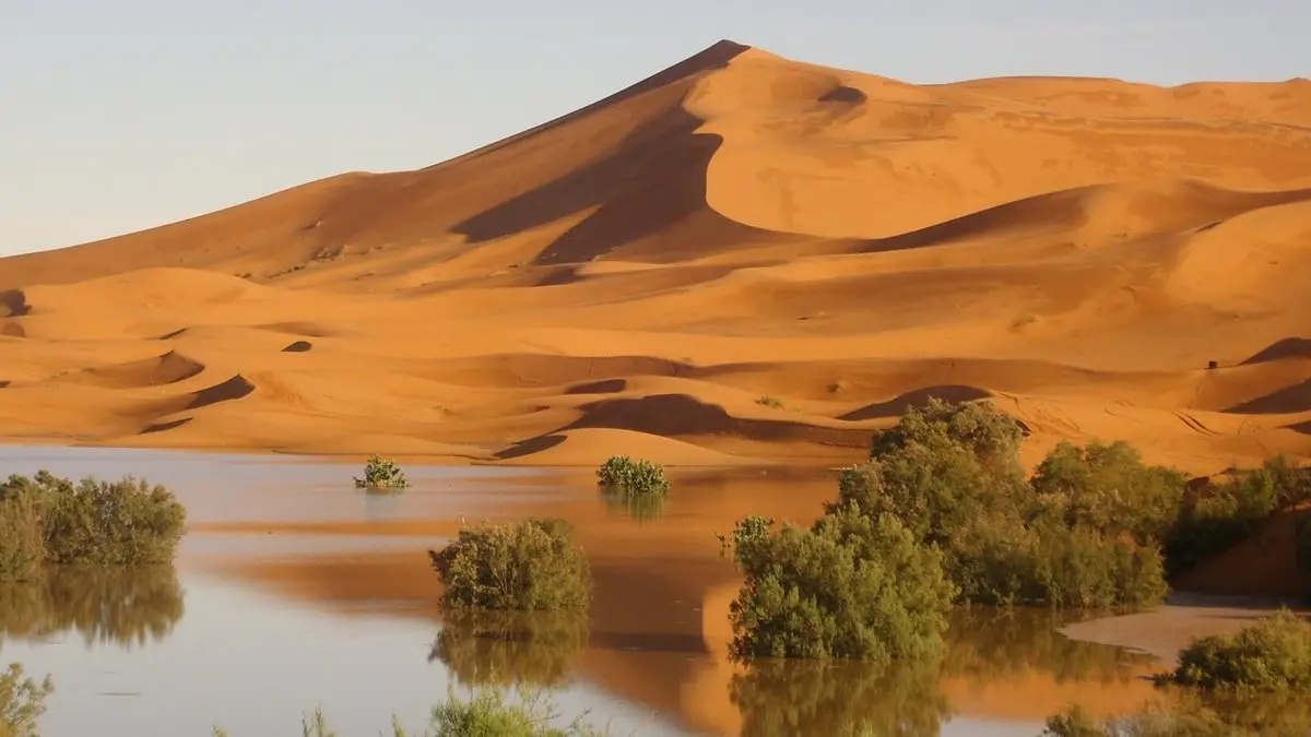 excursion-sahara-1__002